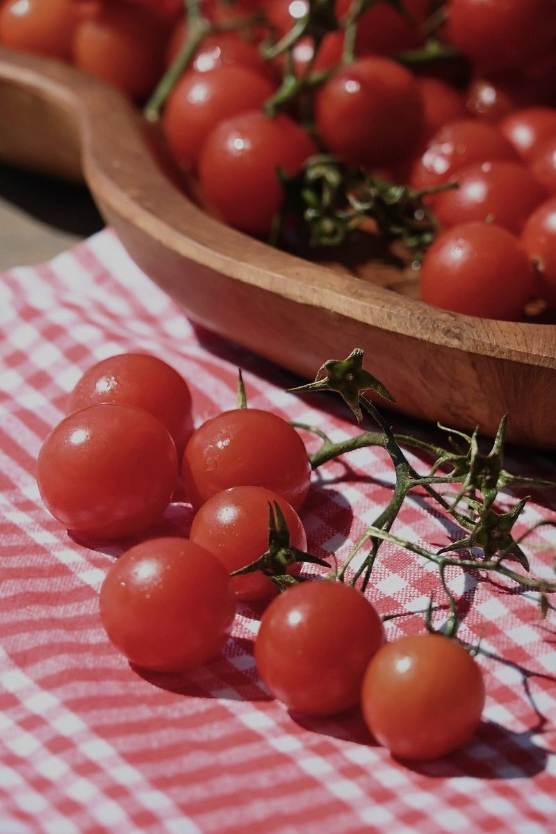 Tomato bruschetta